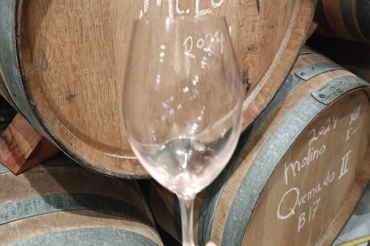 Madrid Wine Tour with Winery Visit & Wine Tasting