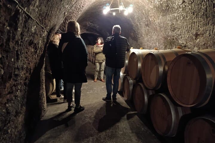 2 Day Ribera del Duero Private Wine Tour from Madrid