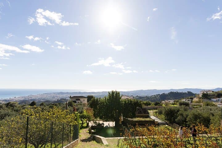 Scenic Views: Our organic vineyard overlooking the Mediterranean Sea (spot Africa on clear days!)