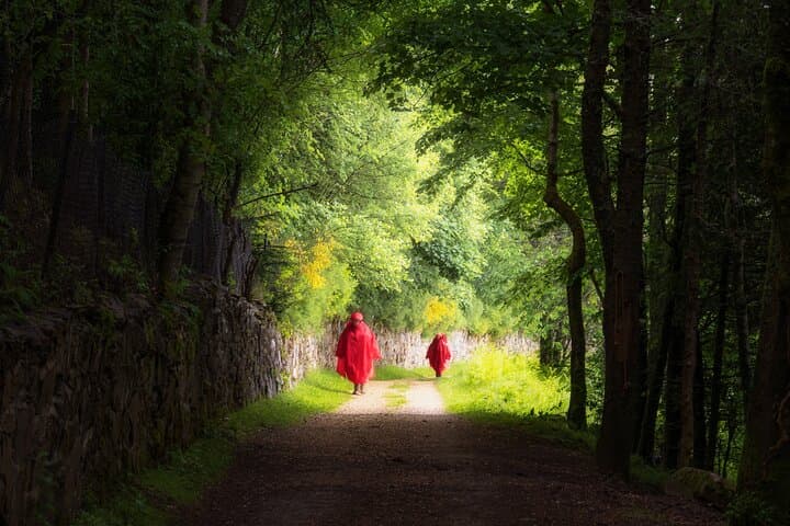 Camino de Santiago Premium Portuguese from Tui to Santiago