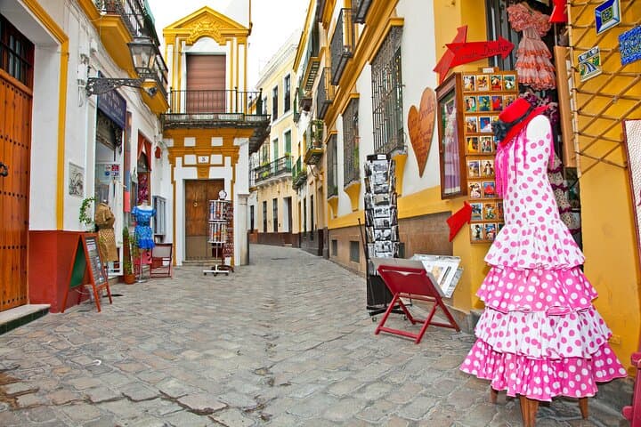 Private day trip from Malaga to Seville, local friendly driver