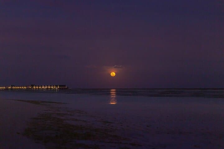 Moon on horizon Sea