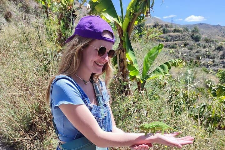 Explore our Coffee and Tropical Fruit Estate