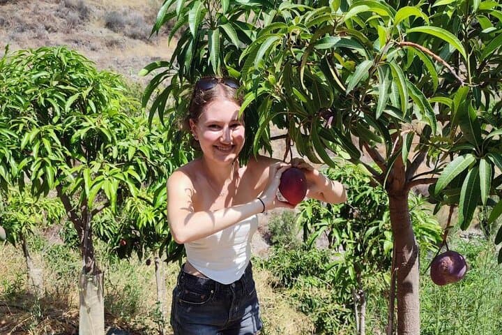 Explore our Coffee and Tropical Fruit Estate