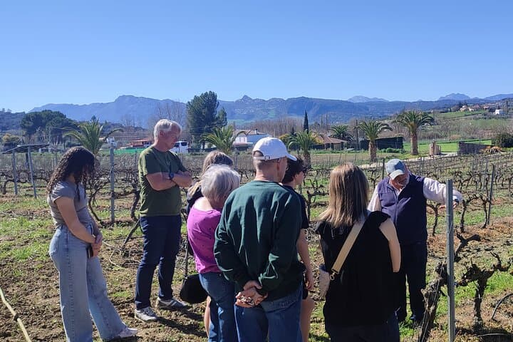 Route Bridges and Walls of Ronda + Winery visit and tasting 4 wines