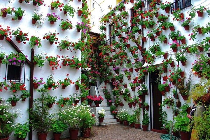 Tour to Cordoba from Seville in Group