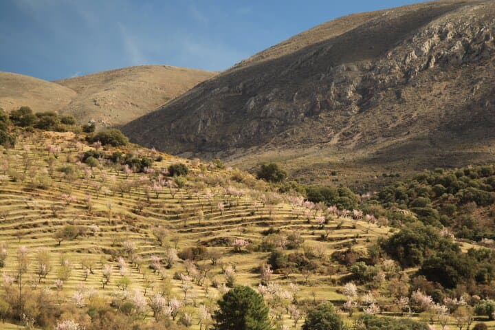 Granada: Nature, Wildlife and Authentic Villages E-bike Tour