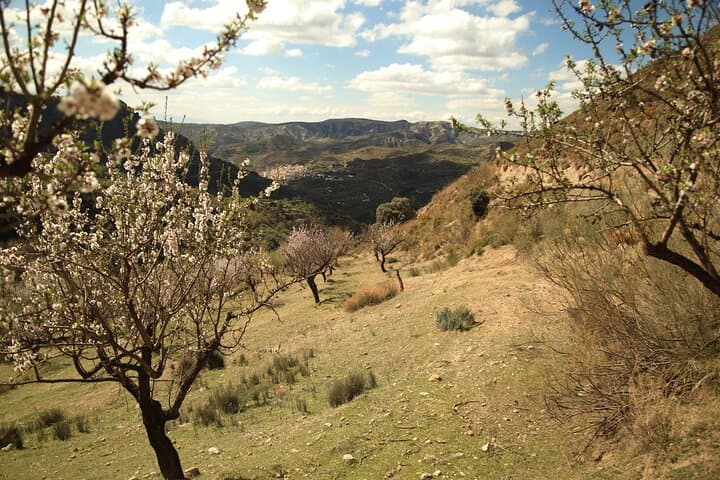 Granada: Nature, Wildlife and Authentic Villages E-bike Tour