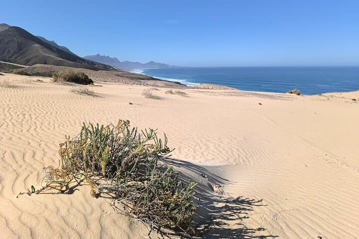 Experience the Wild West Coast of Fuerteventura