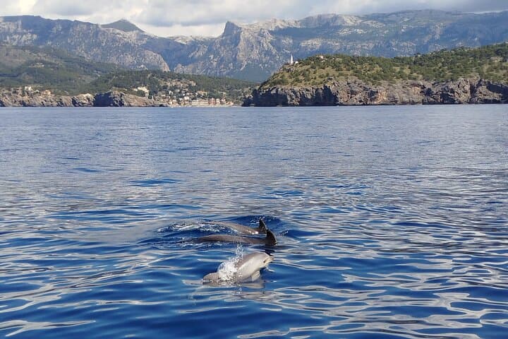 Sail La Vie - Your charter in Port de Sóller