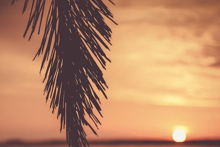 Sunset Paddle Board Experience in Jávea Spain