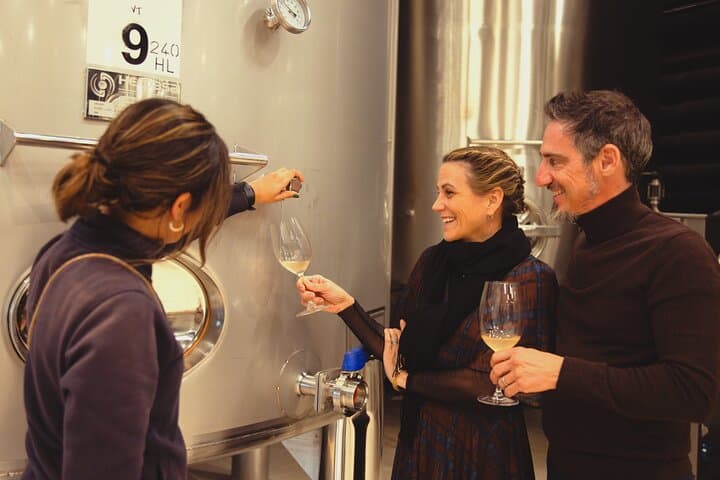 High-End Vineyard Escape: Cava, Tapas & Wine | Private Tour