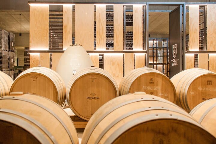 High-End Vineyard Escape: Cava, Tapas & Wine | Private Tour