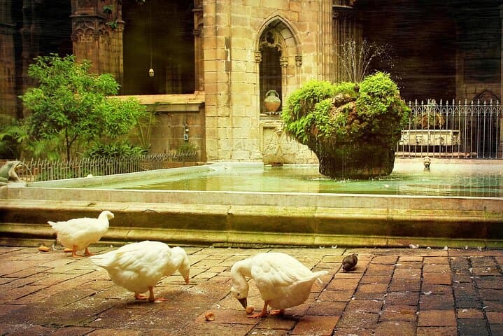 Barcelona Cathedral Tour : Early Exclusive Access + Breakfast