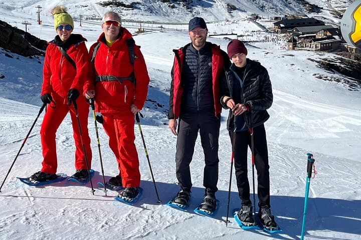 Snowshoe family