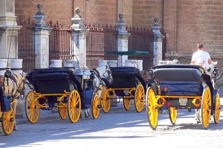 Cadiz Shore Excursion with Private Transportation to Seville