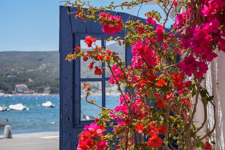 Salvador Dalí Museum, House & Cadaqués Ultimate Semi-Private Tour