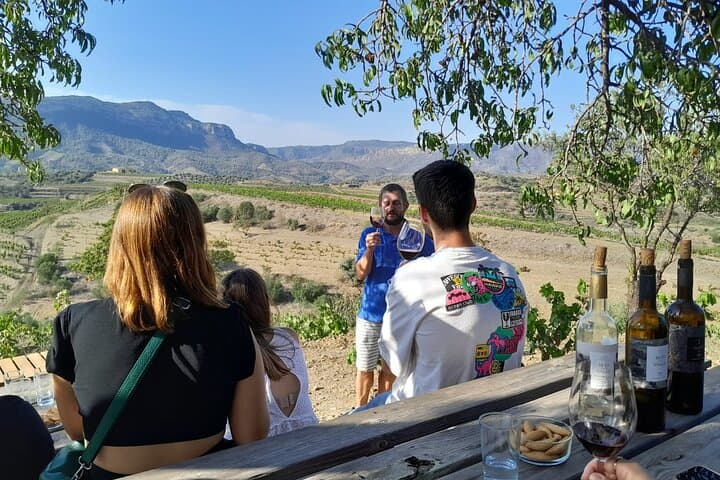 Priorat tour to 3 small wineries and hotel pick-up