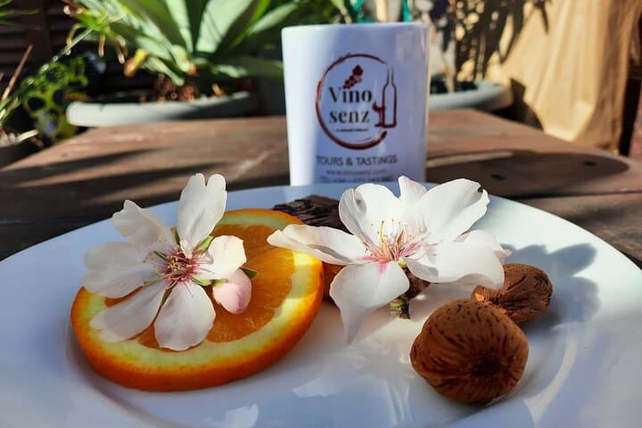 Mallorca Almond Blossom Tour by Minibus incl. pick up South Coast
