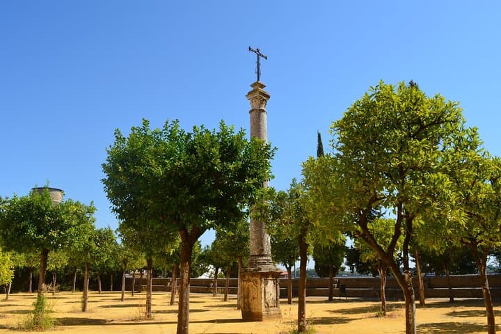 Guided tour of the Monastery of San Isidoro del Campo