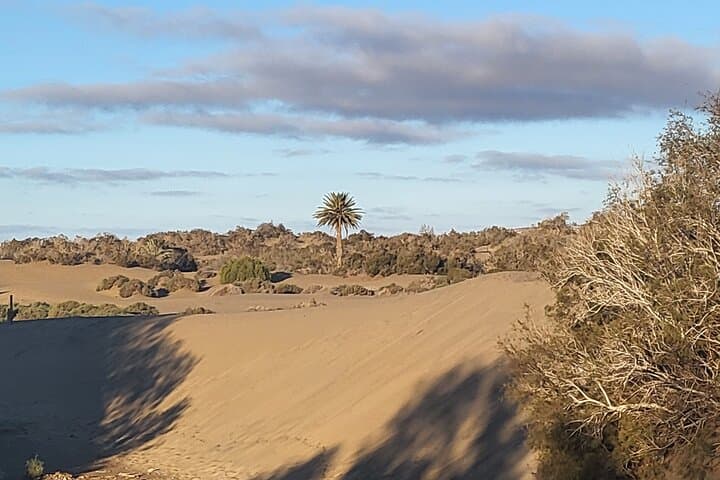Dunes of Maspalomas