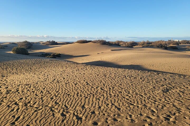 Dunes of Maspalomas