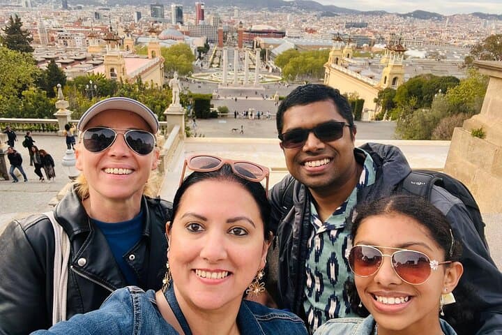 Private tour with views of the Palau Nacional, Barcelona