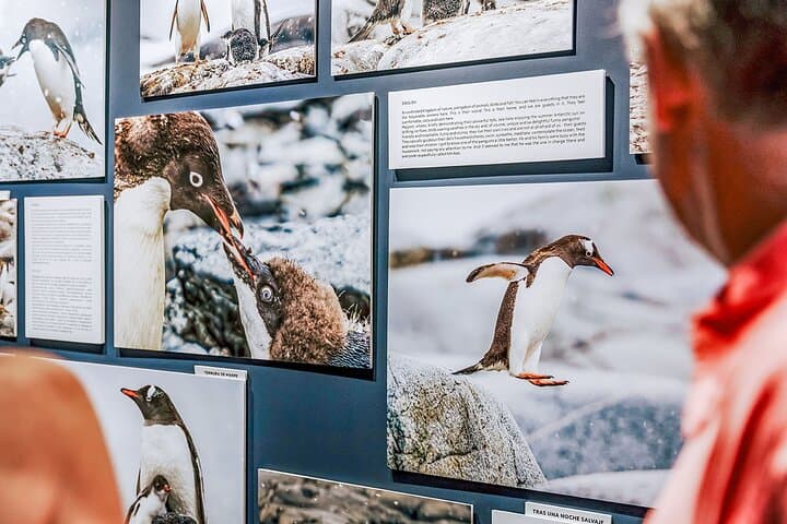 Foto-museo interactivo de la Antártida con realidad virtual