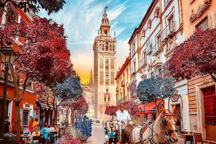 Private Day Trip To Seville From Cadiz Cruise Port