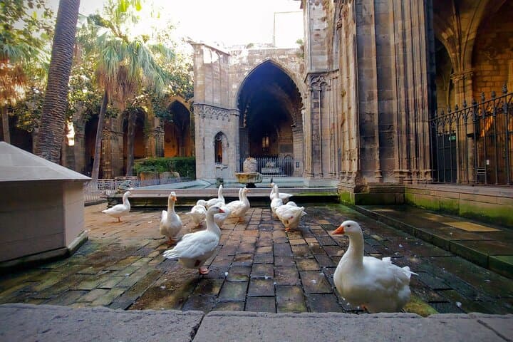 Barcelona Old City and Hidden Gems Private Walking Tour