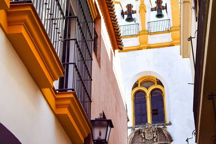 Private Shore Excursion the Marvels of Seville