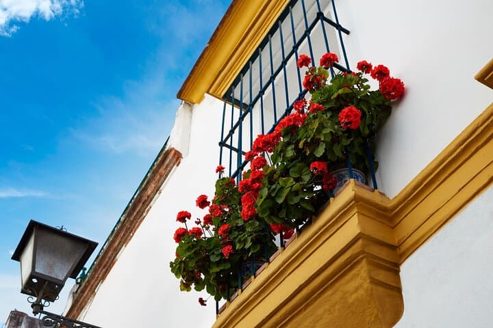 4 Day Andalusia and Toledo Guided Tour from Madrid
