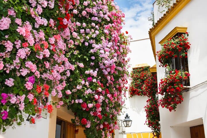 4 Day Andalusia and Toledo Guided Tour from Madrid