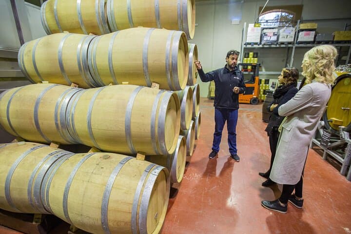 Alicante Winery Small Group Tour with Wine Tasting