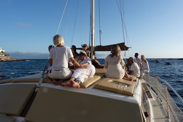3 hour catamaran excursion on the Costa Adeje