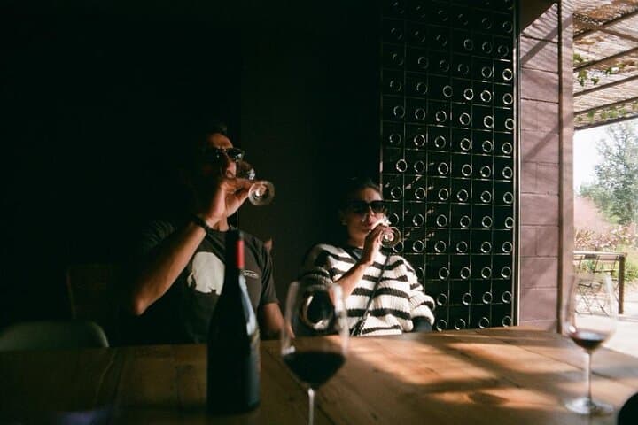 From Barcelona Wine Tasting in 2 Priorat Wineries and Food
