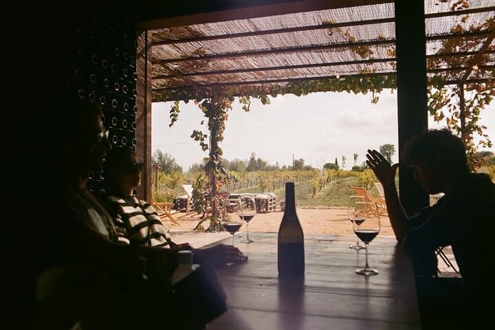 From Barcelona Wine Tasting in 2 Priorat Wineries and Food
