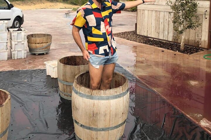 From Barcelona Wine Tasting in 2 Priorat Wineries and Food