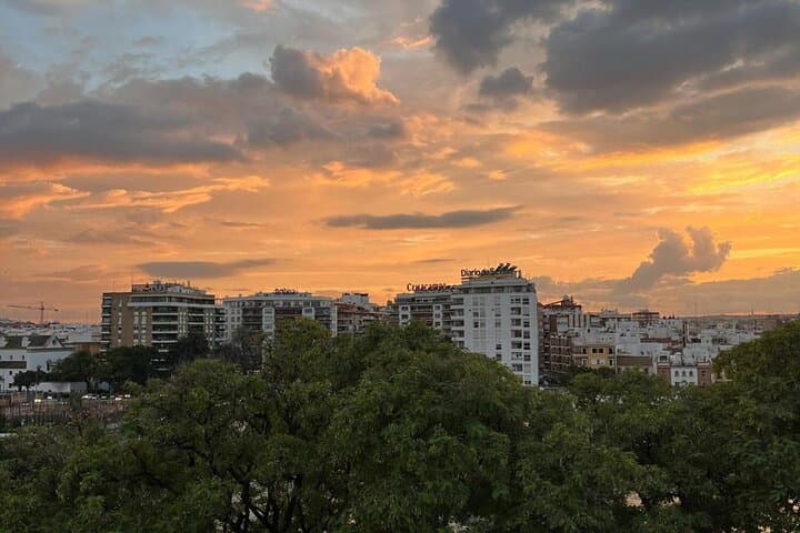 Sevilla Rooftop Wine Experience