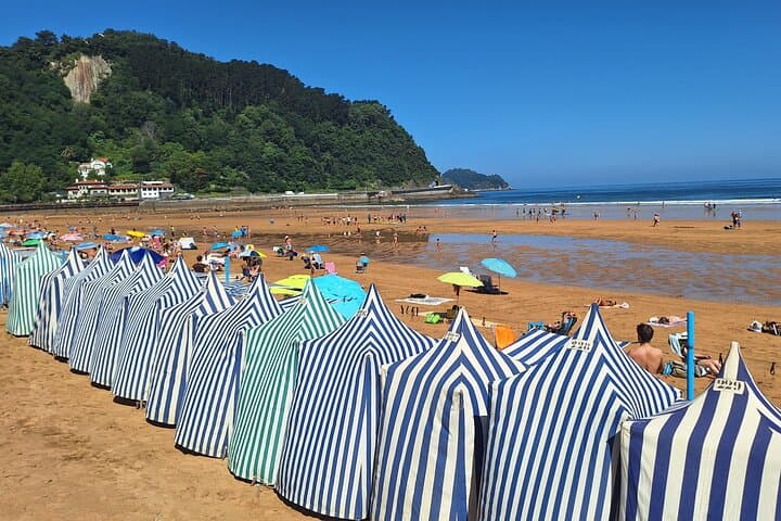 Hiking the Camino de Santiago Along Vineyards from San Sebastian