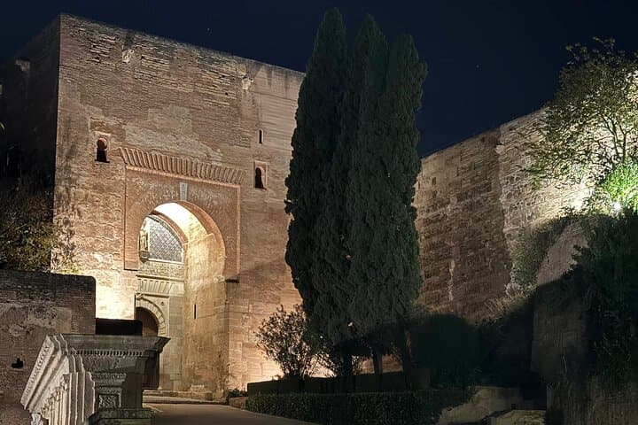 Alhambra Night Tour with tickets included
