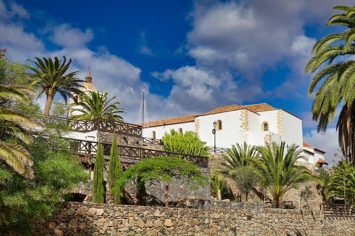 Discover Fuerteventura in One Day
