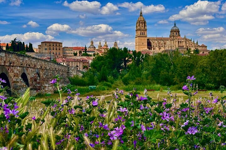 Avila and Salamanca : Magic and Small Group History from Madrid