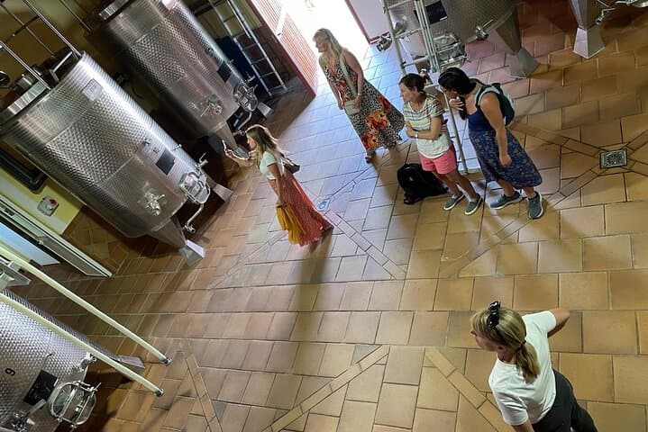 Ronda Day Tour and Winery Visits from Marbella