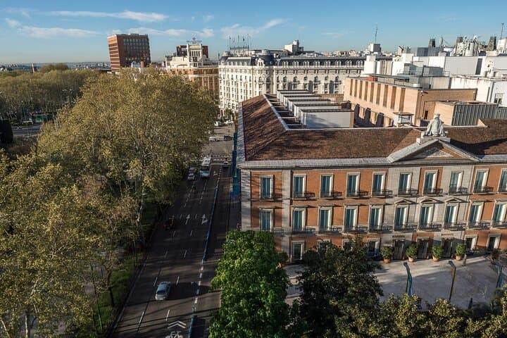 Madrid Thyssen-Bornemisza Museum Ticket with Lunch