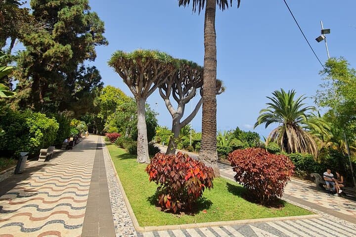 Parks and gardens of Arucas