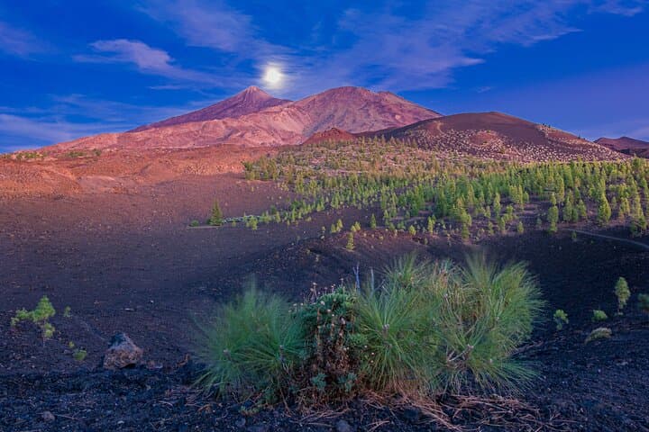 Tenerife Sunset Guided Hike in Teide National Park