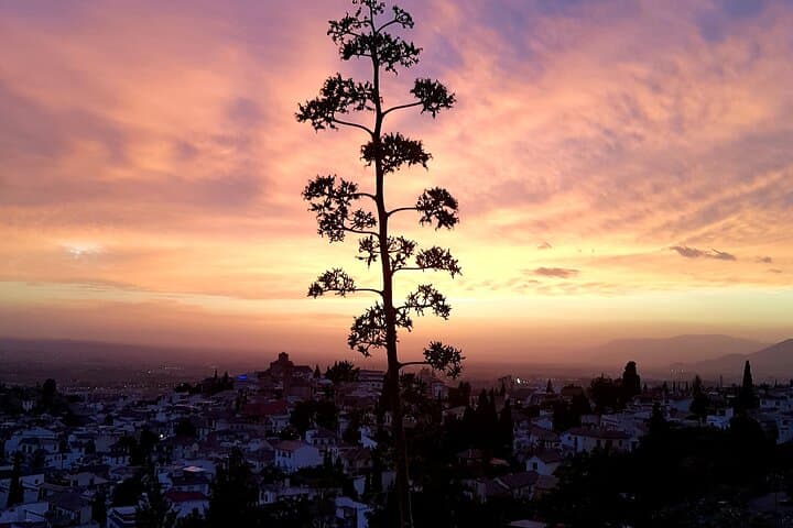 Granada: "Street Art & The Caves" Exceptional Guided Walking Tour