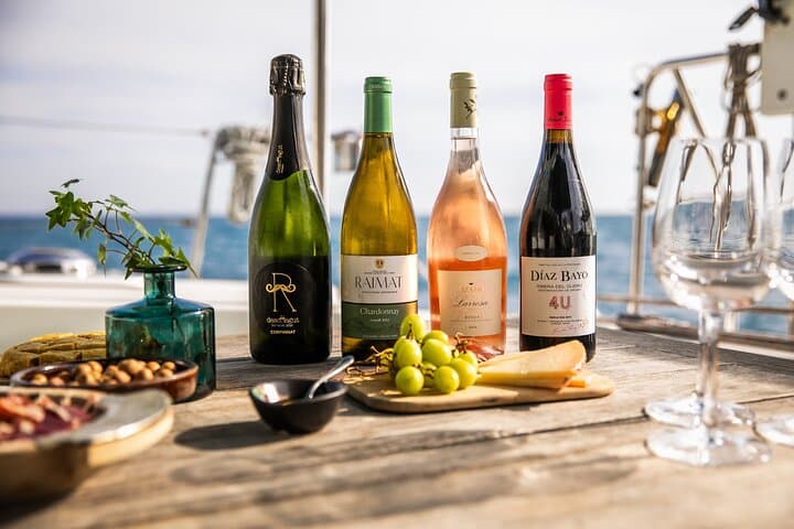 Barcelona: Premium Private Wine Tasting & Tapas in a Catamaran
