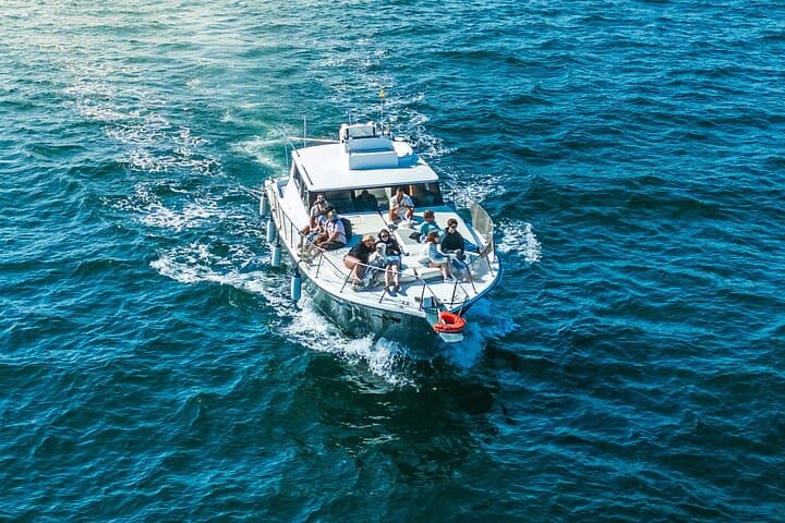 2h boat trip looking for dolphins in Estepona/drink&snacks